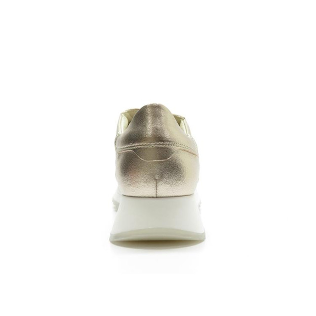 DL Sport 6203 6203 large