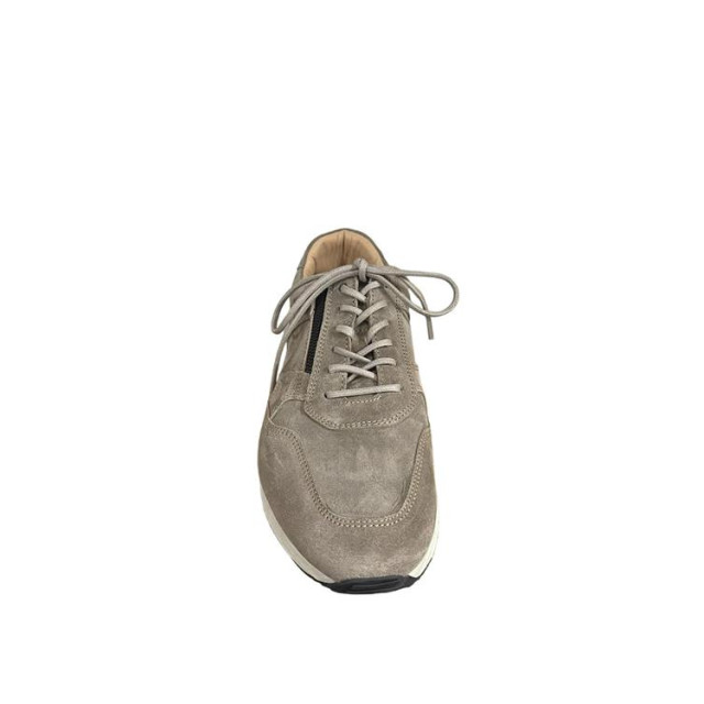 Greve 4299.19 4299.19 large