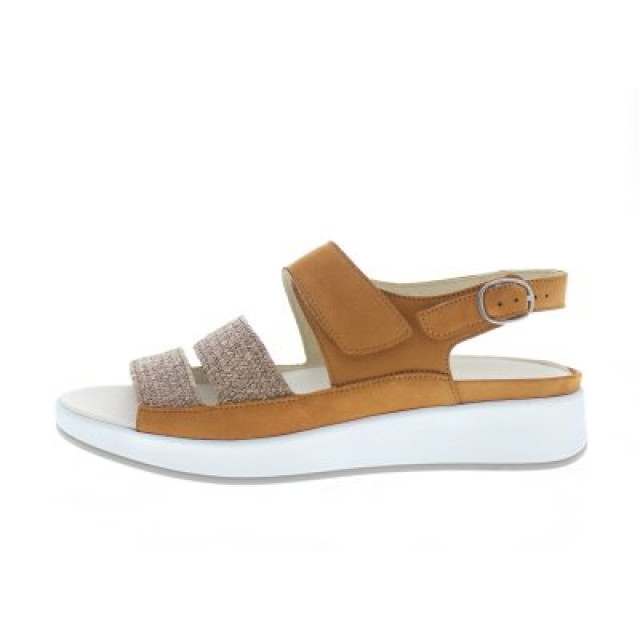 Solidus Hannah h 75033-30671-H large