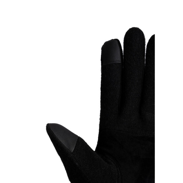 Trespass Heren douglas leren skihandschoenen UTTP6441_black large