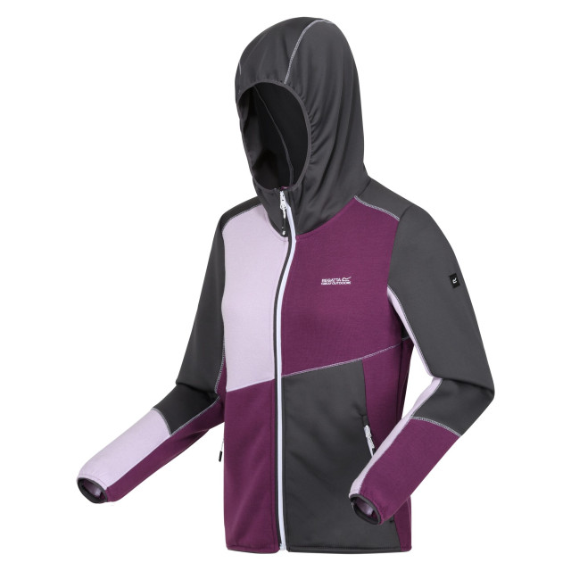 Regatta Dames walbury vii marl full zip fleecejack UTRG10821_sealgreysunsetpurplelilacfrost large