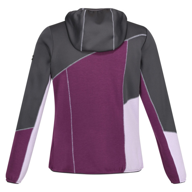 Regatta Dames walbury vii marl full zip fleecejack UTRG10821_sealgreysunsetpurplelilacfrost large