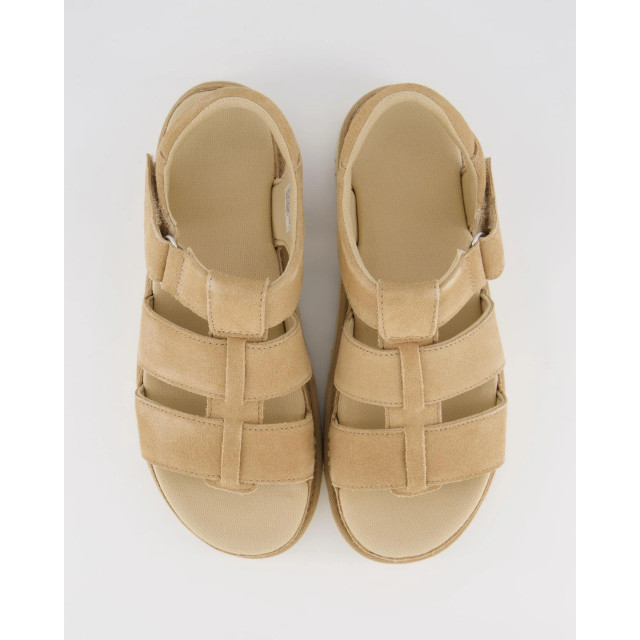 UGG Australia Dames goldenstar strap driftwood 1137890-DRI large