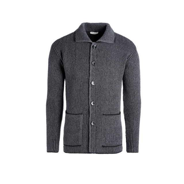 Phil Petter 20-24209  20-24209  large