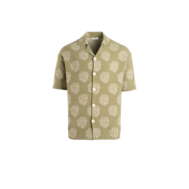 Phil Petter 36-24137  36-24137  large