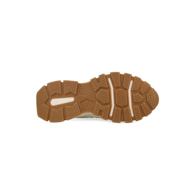 DWRS Label Bonney teddy b10653-12-1386 / bronze B10653 large DWRS Label Bonney teddy b10653-12-1386 / bronze B10653 large