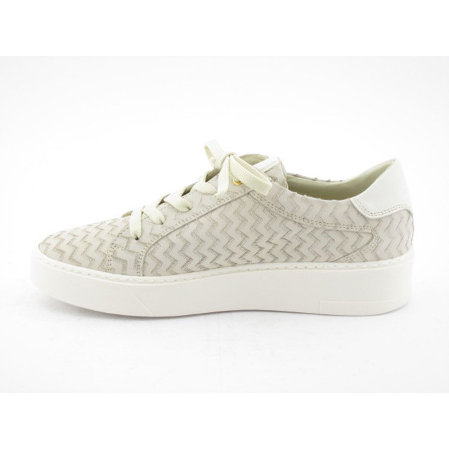 DL Sport Veterschoenen 5604 large