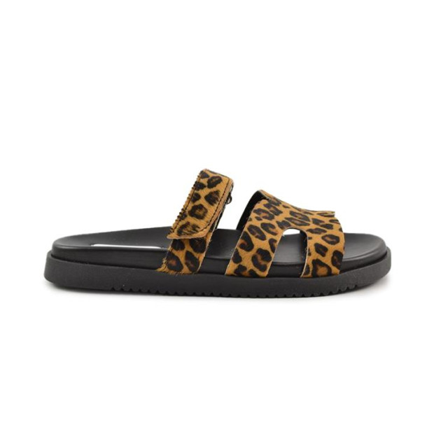 Steve Madden Missile-l [sm11003505] Missile-L [SM11003505] large