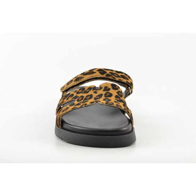 Steve Madden Missile-l [sm11003505] Missile-L [SM11003505] large