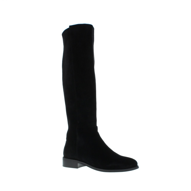 Di Lauro Plat 102728 102728 large