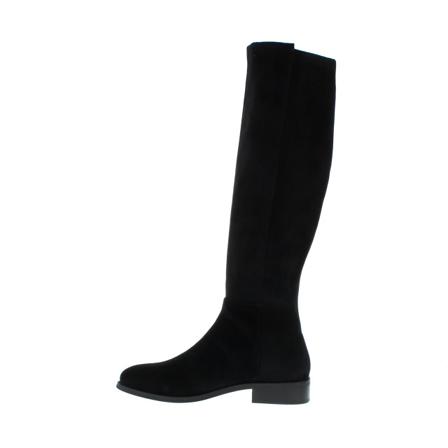 Di Lauro Plat 102728 102728 large