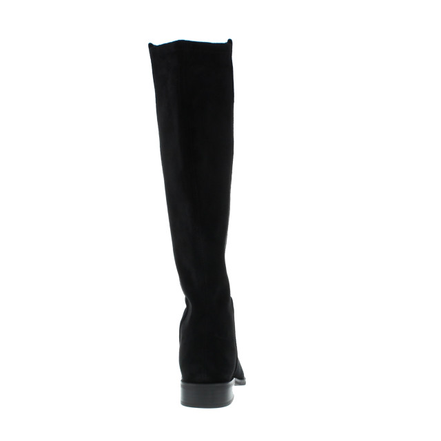 Di Lauro Plat 102728 102728 large