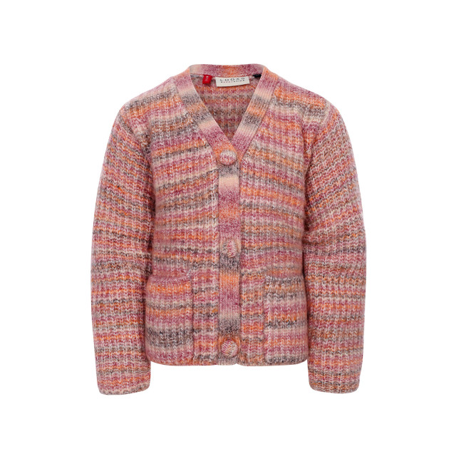 Looxs Revolution Gebreid vest muticolor voor meisjes in de kleur 2431-7336-949 large