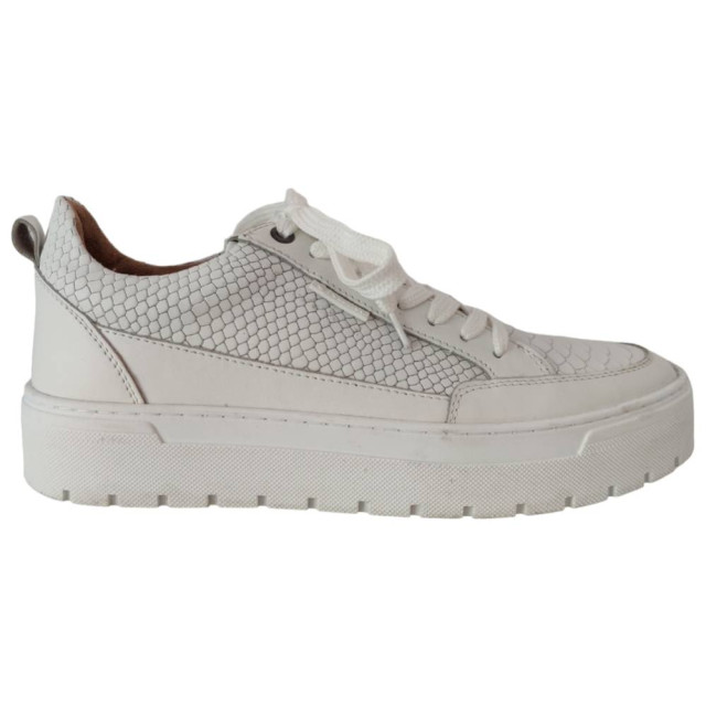 Poelman Lpvar sneaker LPVAR large