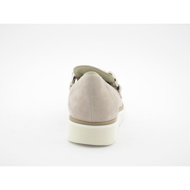 DL Sport 5688 cipro tortora- versione 01 5688 large