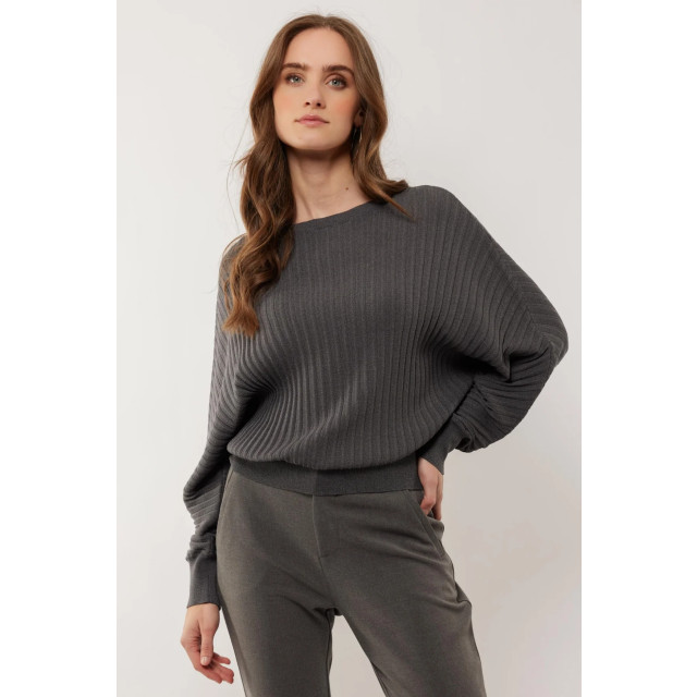 Jacqueline de Yong Edelin trui 24NAG04-408 large