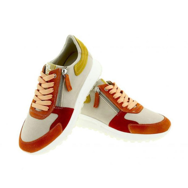 DL Sport 6202 6202 large