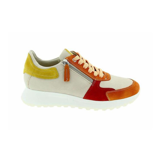 DL Sport 6202 6202 large