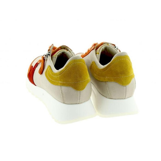 DL Sport 6202 6202 large