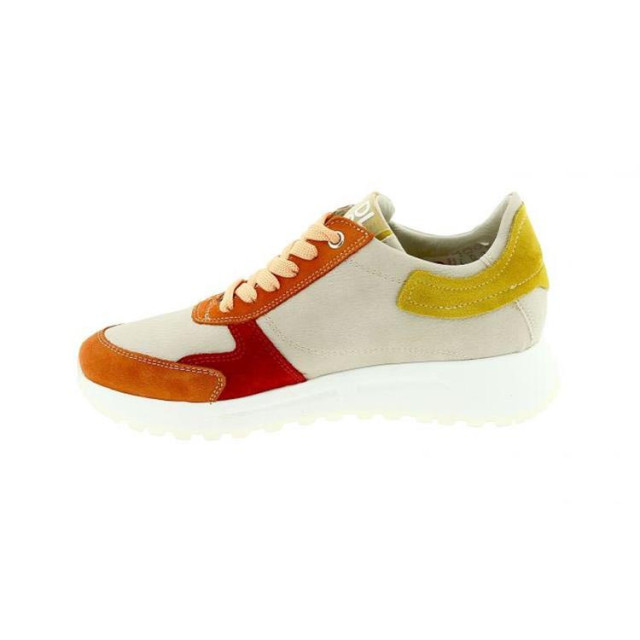 DL Sport 6202 6202 large