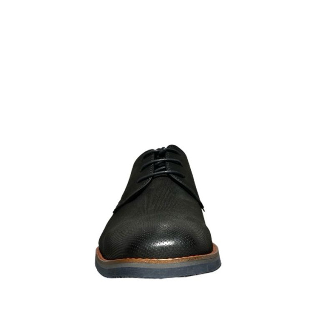 Van Lier 2418636 2418636 large