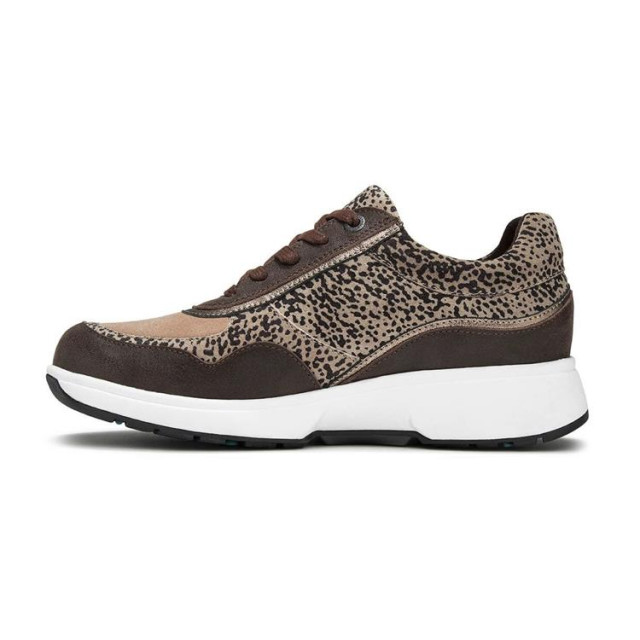 Xsensible 30204.2 Sneakers Bruin 30204.2 large