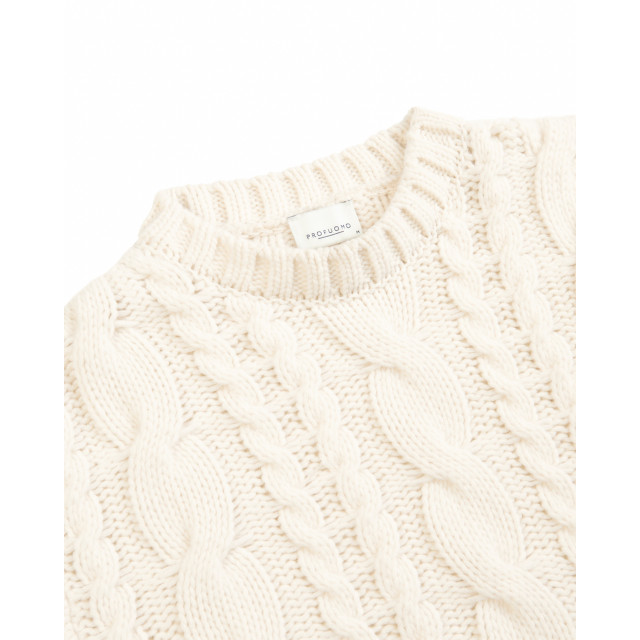 Profuomo Trui ronde hals 097420-001-XXL large