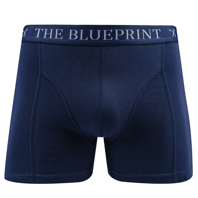 The Blueprint Boxershort 2-pack 061922-002-S large