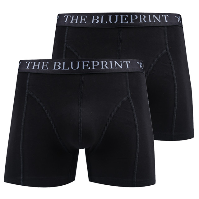 The Blueprint boxershort 2-pack 086551-001-M large