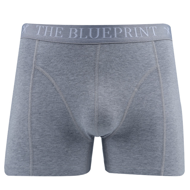 The Blueprint boxershort 2-pack 086551-003-M large