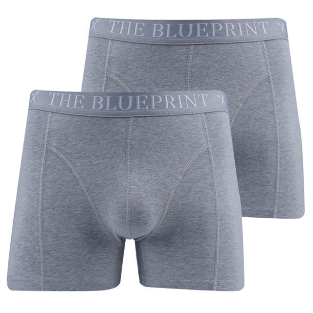 The Blueprint boxershort 2-pack 086551-003-M large