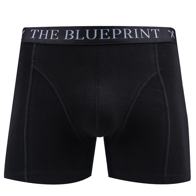 The Blueprint boxershort 2-pack 086551-001-M large