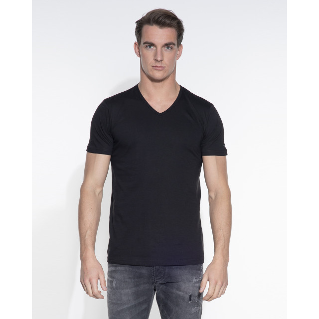 Slater Regular fit t-shirt v-hals 2-pack 044478-000-S large