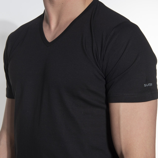 Slater Regular fit t-shirt v-hals 2-pack 044478-000-S large