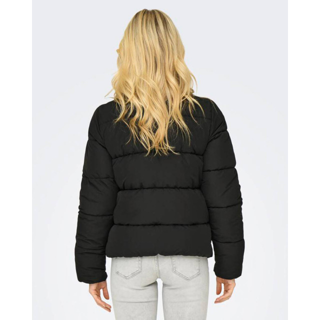 Only Jasje 15295424 Only Jack 15295424 NEWCOOL large Only Jasje 15295424 Only Jack 15295424 NEWCOOL large