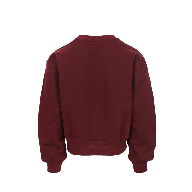 Looxs Revolution Sweater bordeaux university print voor meisjes in de kleur 2432-5318-369 large