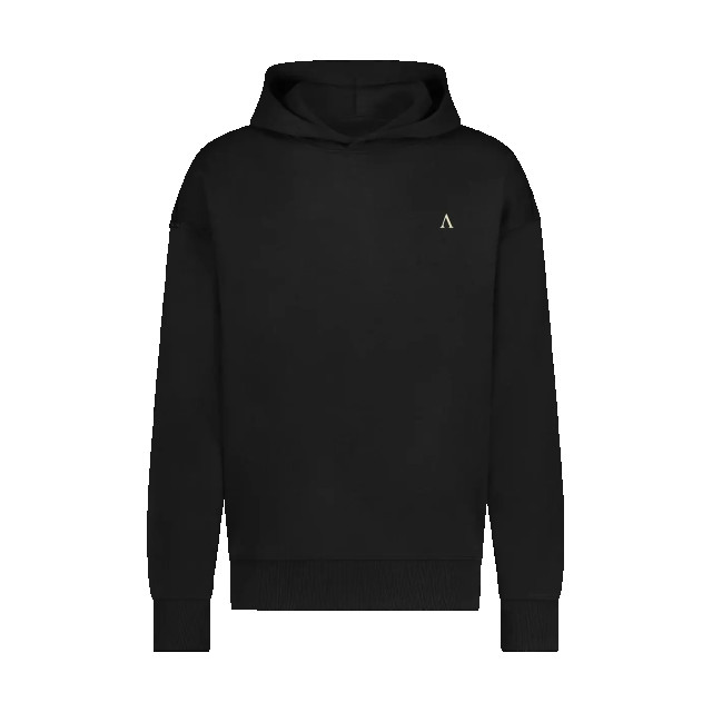 Aeden Berry hoodie 153775558 large