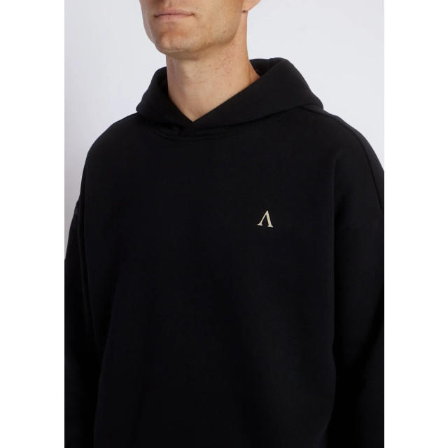 Aeden Berry hoodie 153775558 large