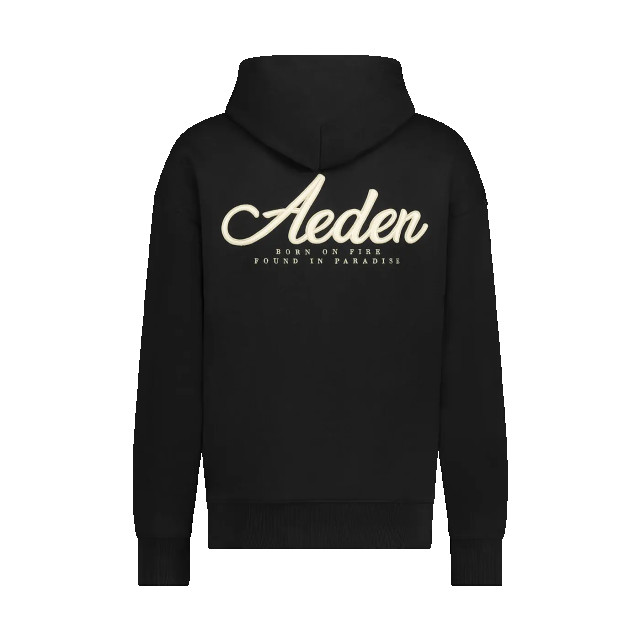 Aeden Berry hoodie 153775558 large