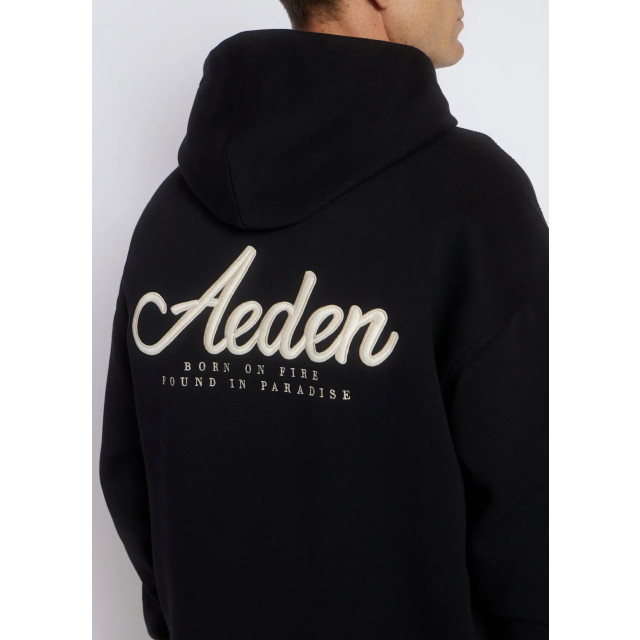Aeden Berry hoodie 153775558 large