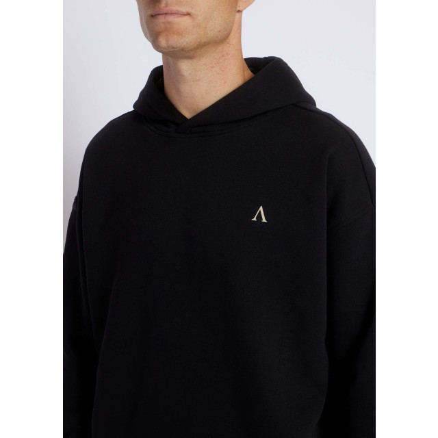 Aeden Berry hoody sweat black A22242897-1 large