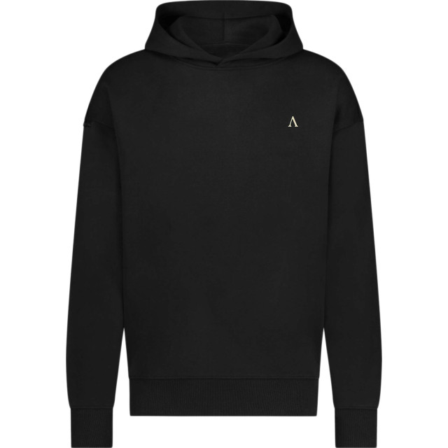 Aeden Berry hoody sweat black A22242897-1 large