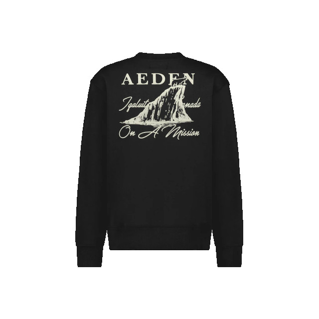 Aeden Kodiak sweater 153775453 large