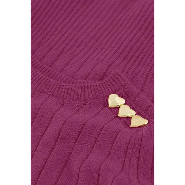 Fabienne Chapot Fc banda pullover FC Banda Pullover/Raspberry large