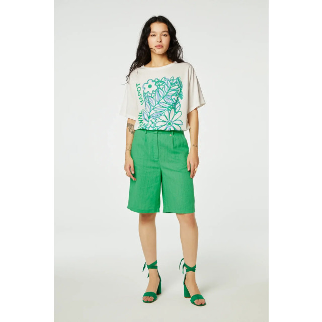Fabienne Chapot Fc julia shorts FC Julia Shorts/Green Apple 4015 large