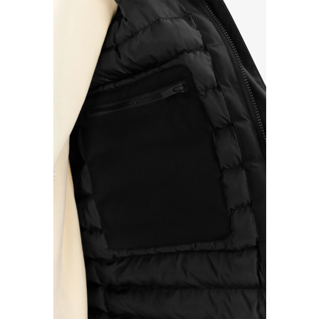 Elvine Hjalmar black 330 343 330 343 large