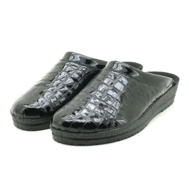 Rohde 2299 90- lak 2299 large