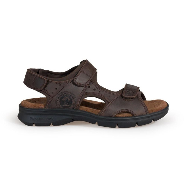Panama Jack Salton Basics C1 Sandalen Bruin Salton Basics C1 large