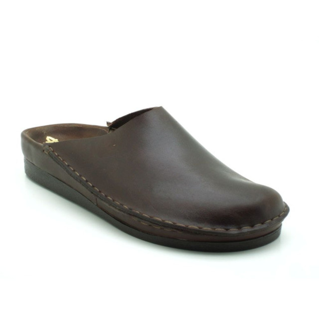 Rembrandt 466 168-donker leer 466 large