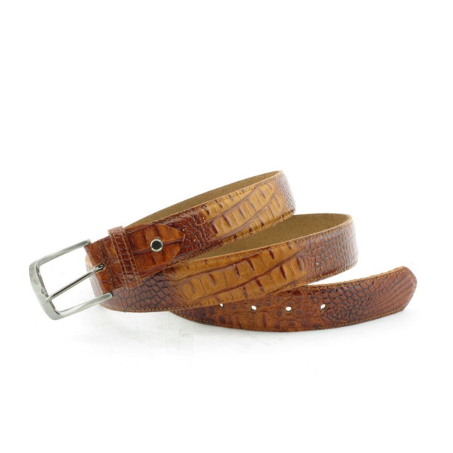 Rehab 8842105428-belt croco 4000-brown 8842105428-Belt Croco large